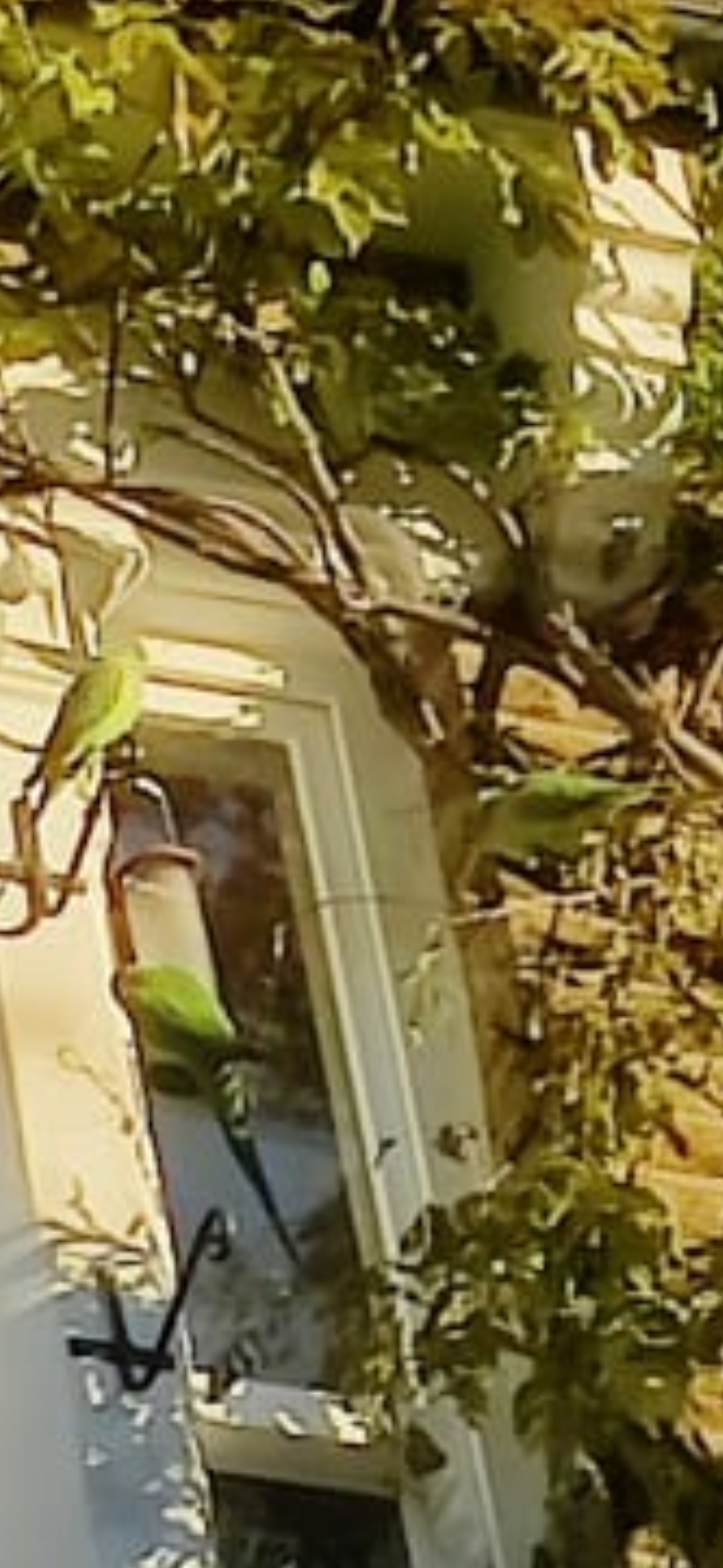 Screenshot_20221218-125412.jpg