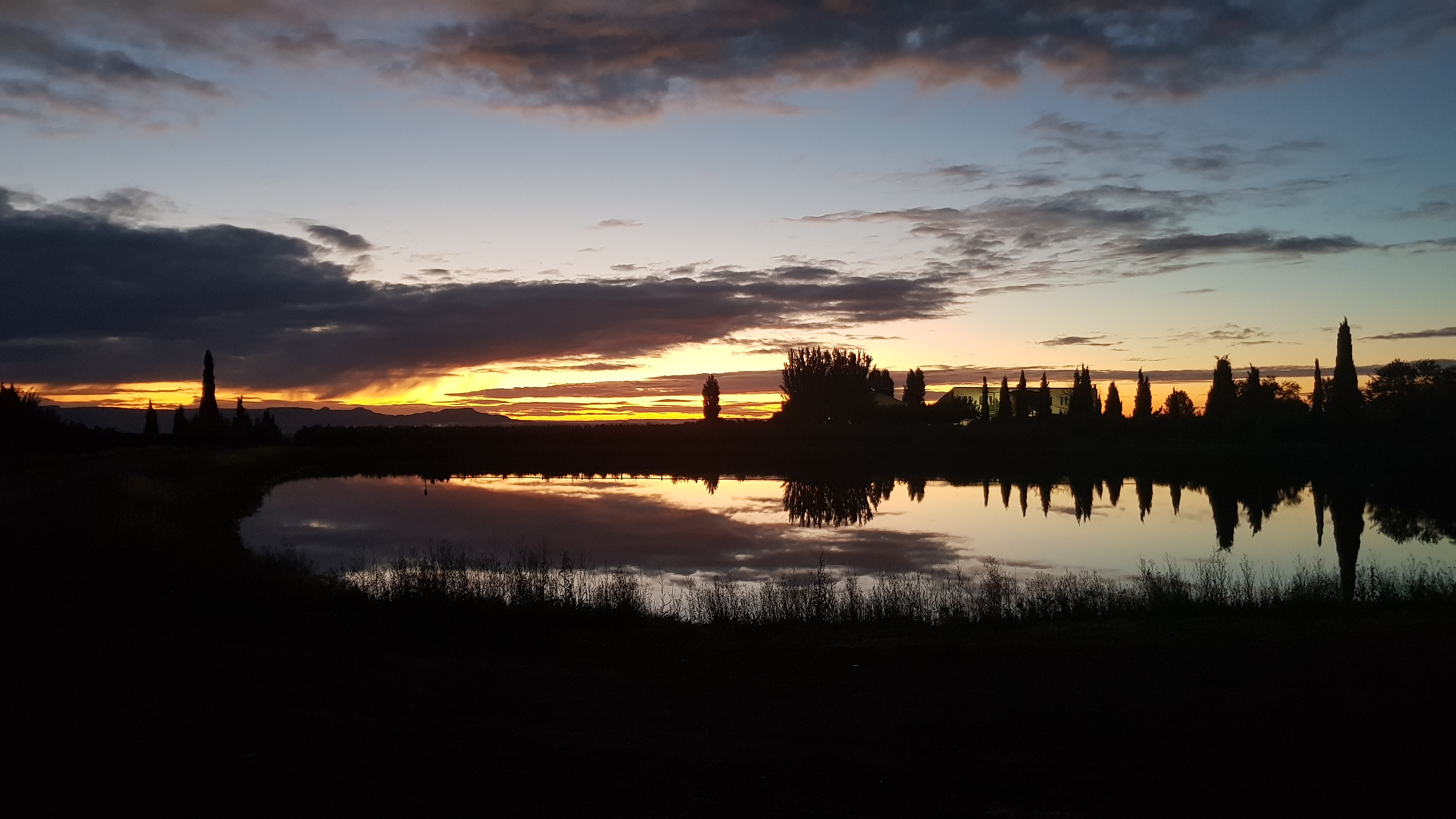 20201005_073924.jpg