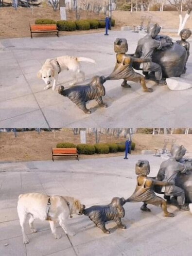 A Good Samaritan.jpg