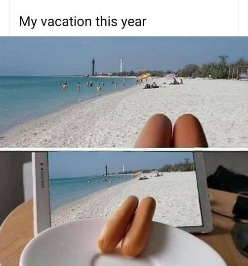My Vacation This Year.jpg