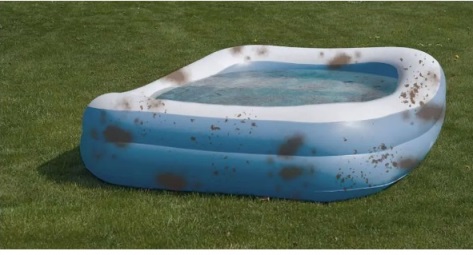 Paddling pool.jpg