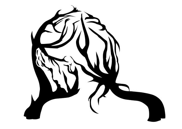 Optical Illusion Quiz No. 1 Question No. 1.jpg