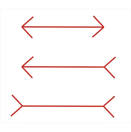 Optical Illusion Quiz No. 1 Question No. 3.jpg