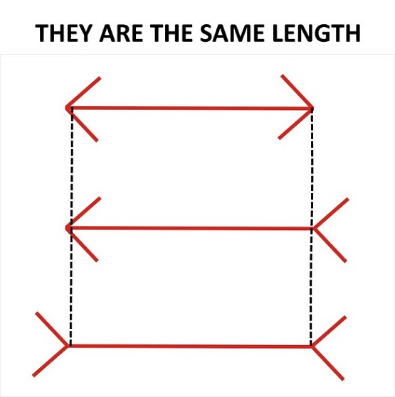 Optical Illusion Quiz No. 1 Question No. 3 - Answer.jpg
