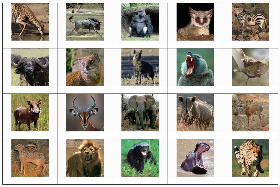 African Mammals Quiz No. 1.JPG