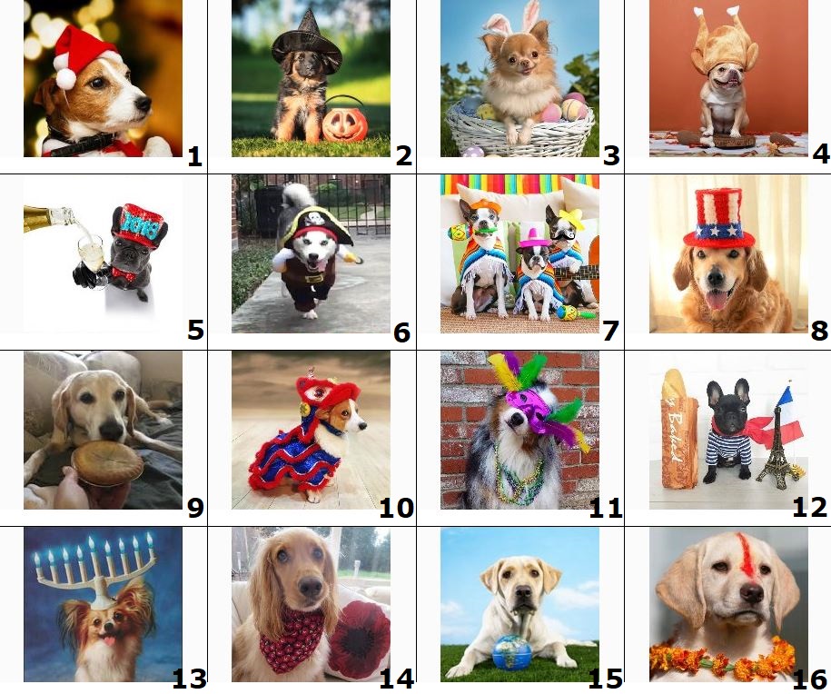Dogs Celebrating Holidays Quiz No. 1.JPG