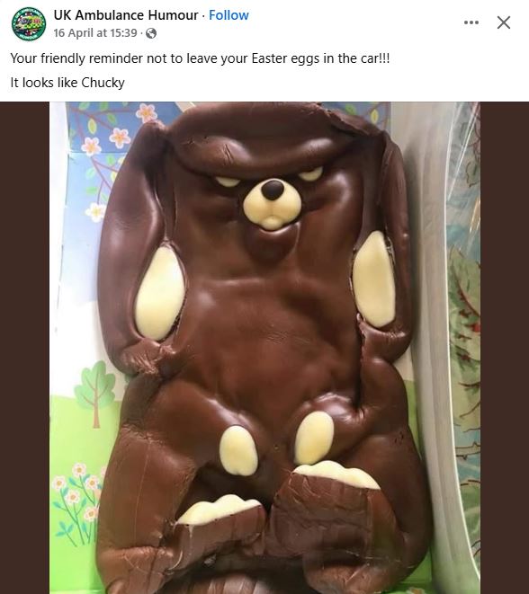 Unattended Bunny.JPG