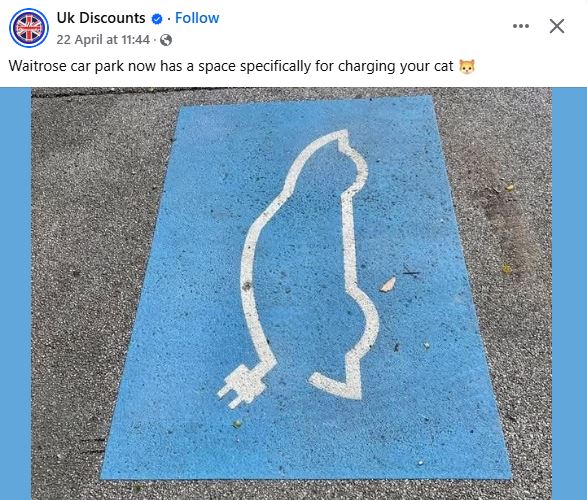 Electric Meow.JPG