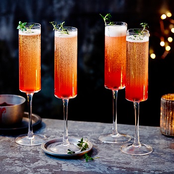 Plum Fizz.jpg