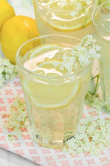 Elderflower Cordial Fizz.jpg