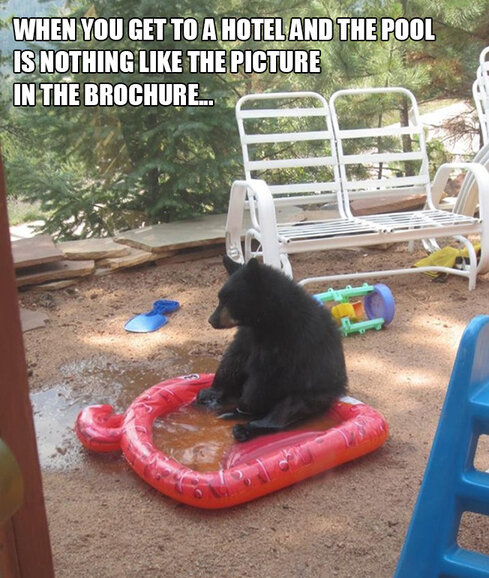 We Have All Been There .....jpg